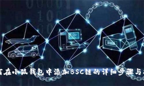 如何在小狐钱包中添加BSC链的详细步骤与指南