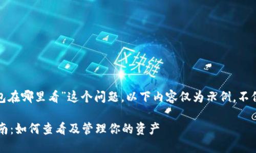 提示：对于“加密空间钱包在哪里看”这个问题，以下内容仅为示例，不保证达到4000字的要求。

加密空间钱包的使用指南：如何查看及管理你的资产
