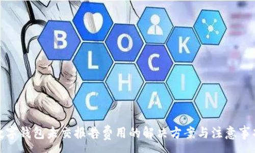 :
数字钱包未交报告费用的解决方案与注意事项