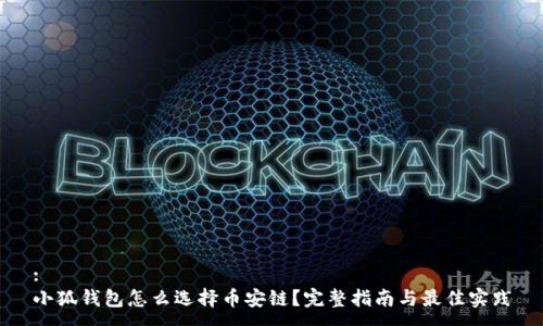 :
小狐钱包怎么选择币安链？完整指南与最佳实践