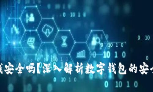 数字钱包里的钱安全吗？深入解析数字钱包的安全性与保护措施