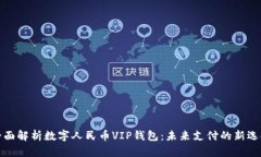 全面解析数字人民币VIP钱