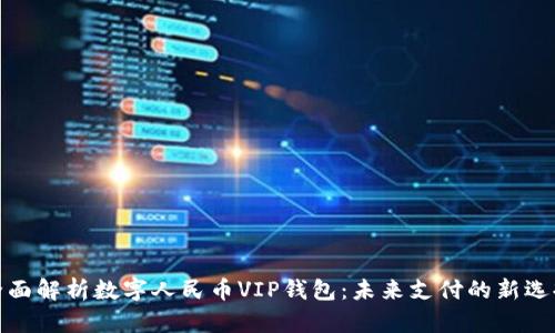 全面解析数字人民币VIP钱包：未来支付的新选择