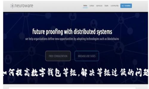 如何提高数字钱包等级，解决等级过低的问题