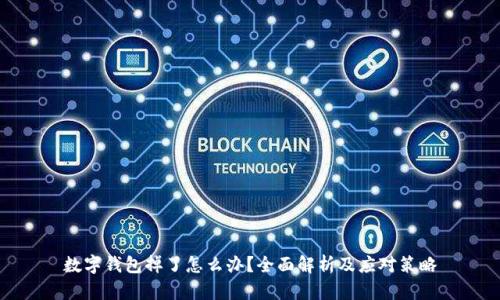 数字钱包掉了怎么办？全面解析及应对策略