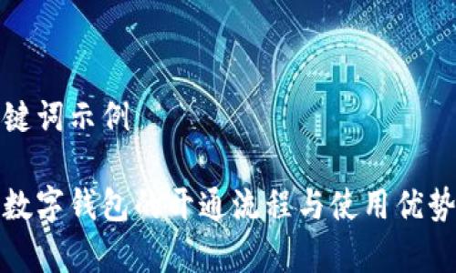 和关键词示例

银行数字钱包的开通流程与使用优势解析