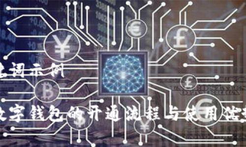 和关键词示例

银行数字钱包的开通流程与使用优势解析