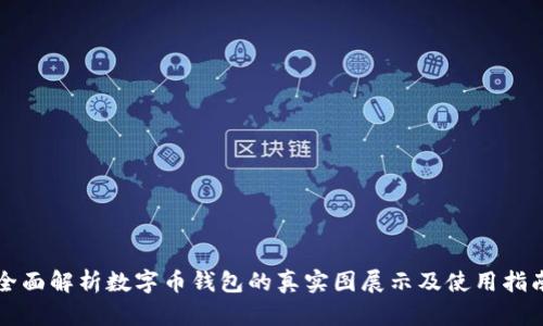 全面解析数字币钱包的真实图展示及使用指南