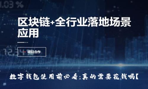 数字钱包使用前必看：真的需要花钱吗？