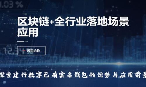 探索建行数字已有实名钱包的优势与应用前景