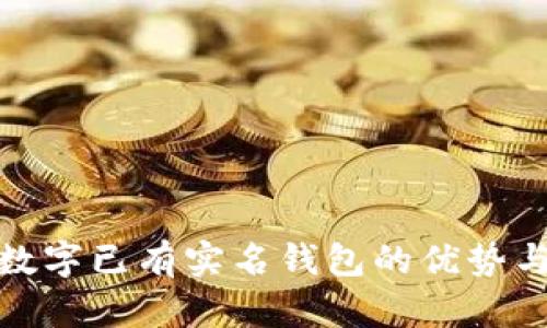 探索建行数字已有实名钱包的优势与应用前景