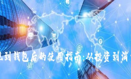 加密货币提现到钱包后的使用指南：从投资到消费的全面解析