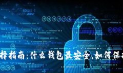 数字钱包选择指南：什么