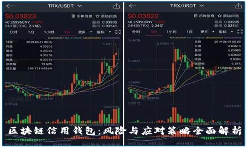 区块链信用钱包：风险与应对策略全面解析