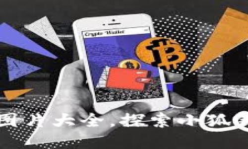 小狐钱包高清图片大全，探索小狐钱包的独特魅力