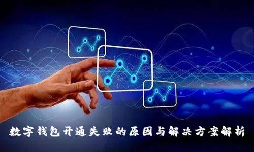 数字钱包开通失败的原因与解决方案解析