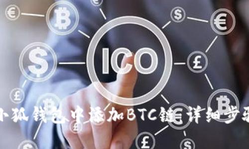 如何在小狐钱包中添加BTC链：详细步骤与技巧