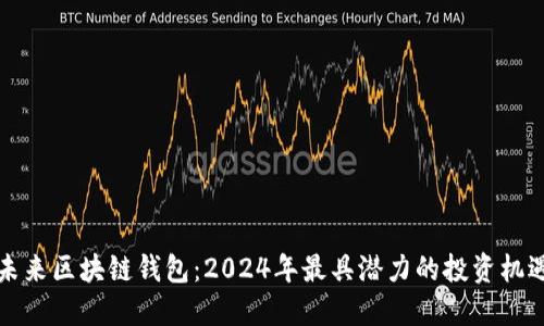 未来区块链钱包：2024年最具潜力的投资机遇
