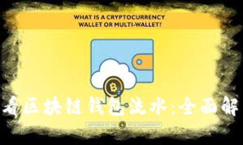 ciaoti如何查看区块链钱包流水：全面解析与实战指南