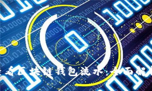 ciaoti如何查看区块链钱包流水：全面解析与实战指南