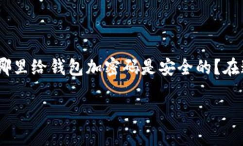 在数字时代，保护我们的钱包安全十分重要。许多人可能会问，在哪里给钱包加密码是安全的？在这篇文章中，我们将详细探讨钱包加密码的最佳实践和安全策略。

保护你的财产：如何安全地为钱包加密码
