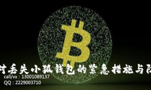 如何应对丢失小狐钱包的紧急措施与防范建议