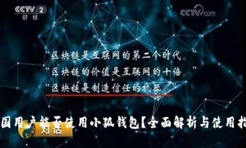 中国用户能否使用小狐钱包？全面解析与使用指南
