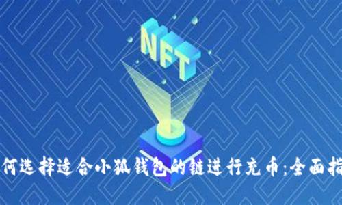 如何选择适合小狐钱包的链进行充币：全面指南
