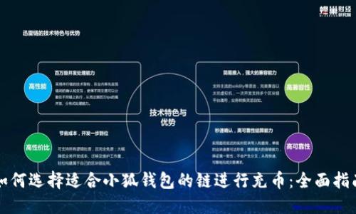 如何选择适合小狐钱包的链进行充币：全面指南