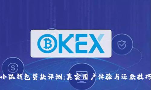 小狐钱包贷款评测：真实用户体验与还款技巧