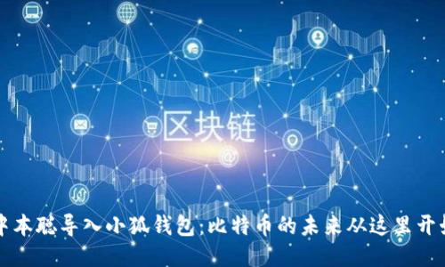 中本聪导入小狐钱包：比特币的未来从这里开始