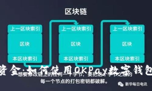 完美掌控你的资金：如何使用OKPay数字钱包实现高效支付