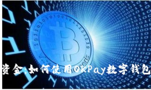 完美掌控你的资金：如何使用OKPay数字钱包实现高效支付