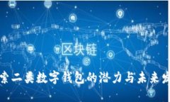 探索二类数字钱包的潜力