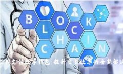 探索汇付支付数字钱包：