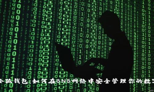 解锁小狐钱包：如何在BNB网络中安全管理你的数字资产