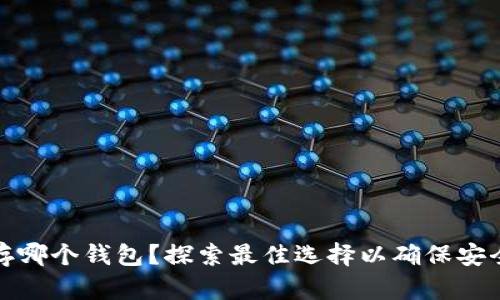 数字币存哪个钱包？探索最佳选择以确保安全和便利