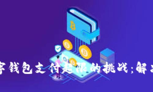 如何有效应对数字钱包支付超限的挑战：解决方案与最佳实践