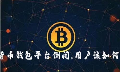数字货币钱包平台倒闭，用户该如何自救？