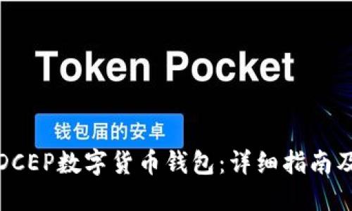 如何下载DCEP数字货币钱包：详细指南及使用技巧