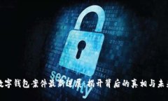 南安数字钱包案件最新进