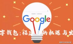 探索数字钱包：福建省的