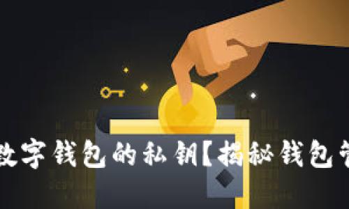 如何安全查看数字钱包的私钥？揭秘钱包管理的最佳实践