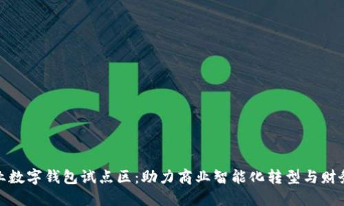 探索企业数字钱包试点区：助力商业智能化转型与财务透明化