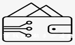 全面解析OE数字钱包：新手