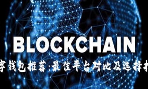 数字钱包推荐：最佳平台对比及选择指南