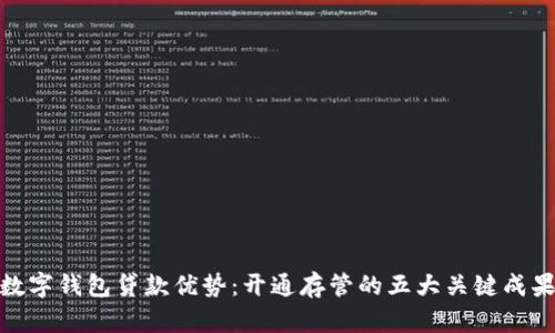 数字钱包贷款优势：开通存管的五大关键成果