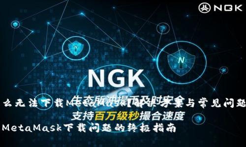 为什么无法下载MetaMask？解决方案与常见问题解析

解决MetaMask下载问题的终极指南