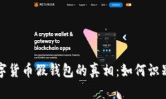 揭开加密数字货币假钱包