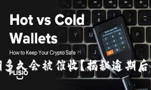 数字钱包逾期多久会被催收？揭秘逾期后果与处理技巧